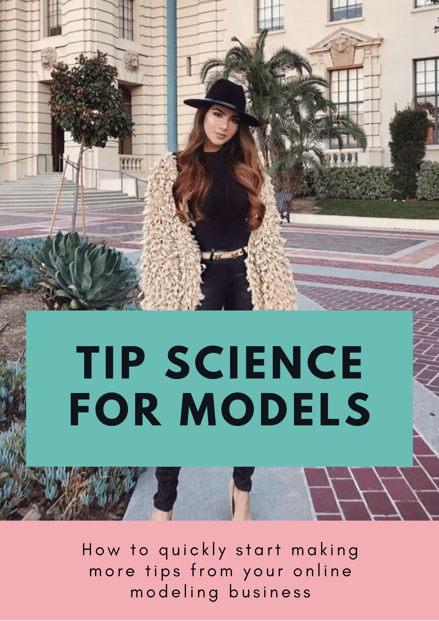 Confident webcam model using Tip Science